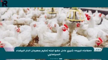 «مفاجأة كبيرة» شيرى عادل عضو لجنة تحكيم بمهرجان الدار البيضاء السينمائي